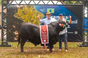 3 Marias conquista o Reservado de Grande Campeão Brangus na ExpoLages 2026